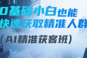 AI精准获客班:0基础小白也能快速获取精准人群