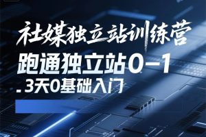 社媒独立站训练营,跑通独立站0-1,3天0基础入门